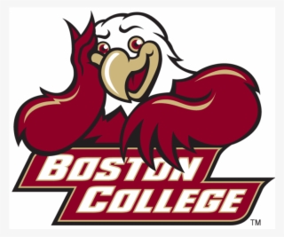 Boston College Eagles Iron On Stickers And Peel-off - Boston College Gay Eagle