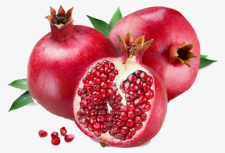 Pomegranate - Pomegranate Transparent