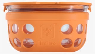 Tintbox Borosilicate Glass Food Container With Protective - Wood