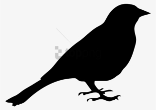 Free Png Download Silhouette Of Pigeon Png Images Background - Bird Silhouette No Background