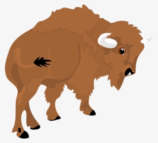 Transparent Bison Clipart