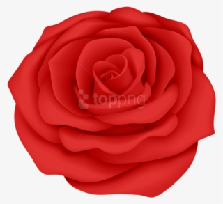 Free Png Download Red Rose Flower Transparent Png Images - Blue Rose Transparent Background