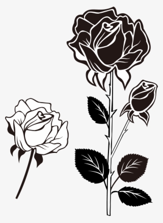 Black White Rose Search Result 72 Cliparts For Black - Rosa Preta E Branca