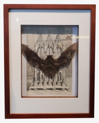 Vesper Bat With Victorian Lithograph In Large Frame - Picture Frame