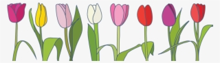 1000 X 329 0 - Spring Banners Transparent Clipart
