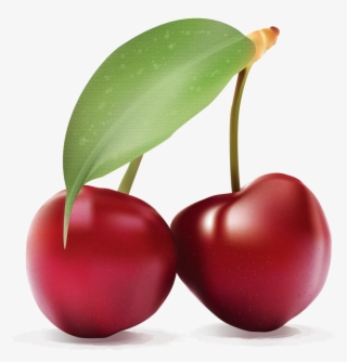 cherries - cherry