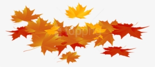 Free Png Download Autumn Leaves Clipart Png Photo Png - Autumn