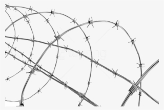 Free Png Download Barbwire Png Images Background Png - Transparent Background Barbed Wire Png