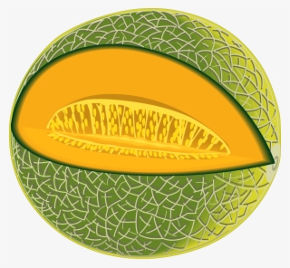 Melon Vector Png