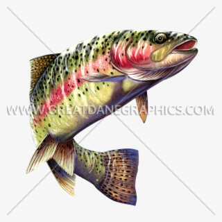 Trout Png - Color Pencil Drawing Of Rainbow Trout