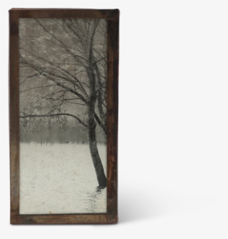 Wood