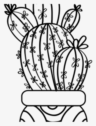 Multiple Cactus Pot Drawing Silhouette Transparent - Cactus