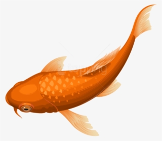 Free Png Download Orange Koi Fish Transparent Clipart - Transparent Background Fish Png