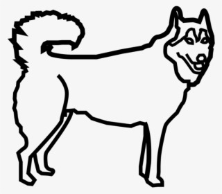 Husky Dog - Companion Dog