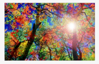 Colorful Canopy Poster - Creative Arts