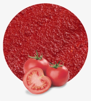 Tomato Paste Concentrate - Plum Tomato