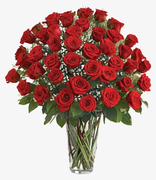 48 Premium Roses Arrangement - Dozen Red Roses