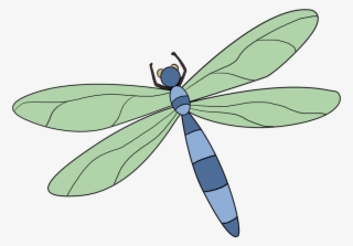 848 X 1200 2 - Easy Step By Step Dragonfly Drawing