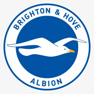 seagulls “unfairly tarnished” by minimum wage offenders - brighton and hove albion logo