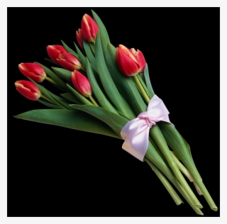 Tulip, Free Pngs - Bouquet Of Flowers Images Transparent Background