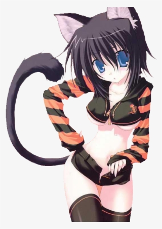 Anime Neko Cat Sexy Photo - Anime Cat Girl