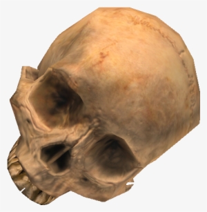 Skull - Halo Skull Png