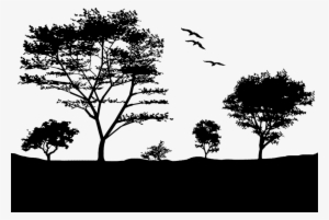 Clip Freeuse Birds Silhouette Trees Natu Silhouettes - Silhouette Tree