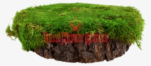 Mossy Tree Stump - Moss