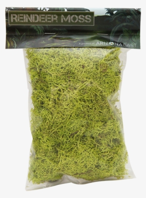 Quick View - Bagged Moss