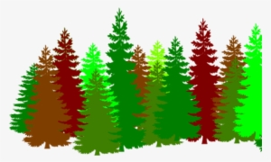 Clip Black And White Download Pine Tree Line K Pictures - Forest Clipart