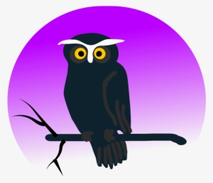Halloween Owl Png Images