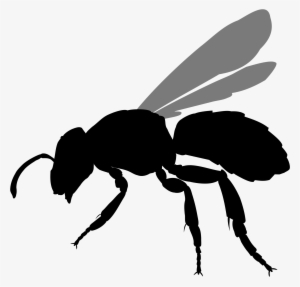 File Halictus Rubicundus Silhouette - Stingless Bee Icon Png