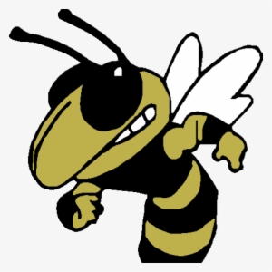 Hornets Athletics - Yellow Jackets Vector