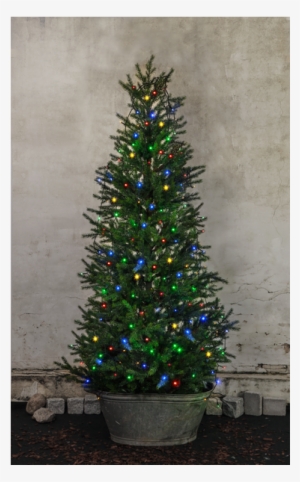 Christmas Tree Light Serie Led - Star Trading Juletrelenke Led 8x2 Meter Multi Ip44