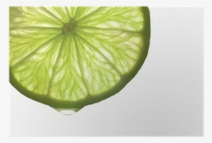 Free Lime Slice Png - Shutterstock