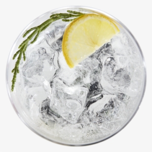 Gin And Tonic In A Glass With Lemon Slice And Samphire - Gin An Tonic Png
