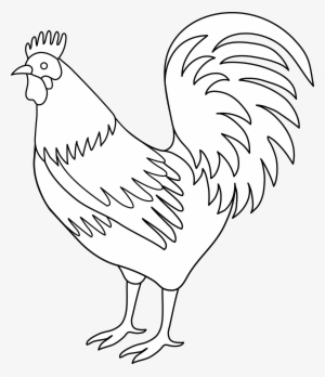 Chicken Clipart Tail - Black And White Rooster Art