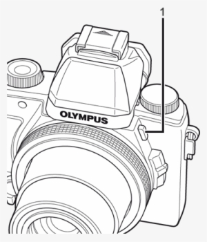 If Your Camera Has A Built-in Flash - Olympus