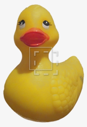 Rubber Ducky - Openclipart