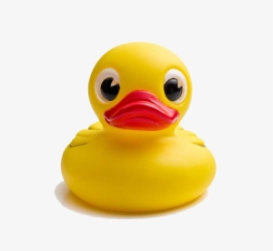 Yellow Duck Transparent Background Png - Transparent Background Duck .png