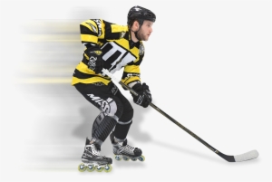 Home Mi55ionhockey321 2017 05 26t21 - Ice Hockey