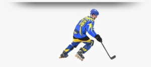 Home Mi55ionhockey321 2017 05 26t21 - College Ice Hockey