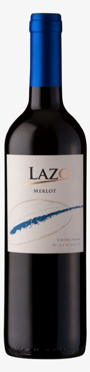 Lazo Merlot - Vineyard