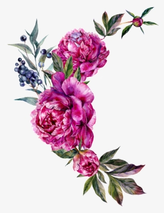 Peony Vector Free - Bouquet