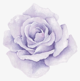 Purple Sticker - Transparent Png Watercolor Flowers