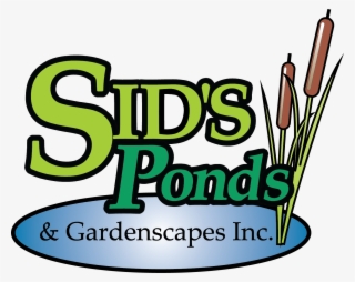 Sids-ponds