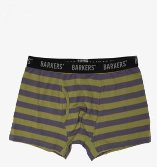 Get The Connaught Stripe Trunk In Grey Online - Underpants