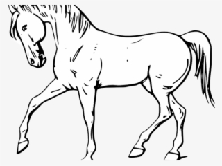 Mare Clipart Kuda - Outline Of Domestic Animals