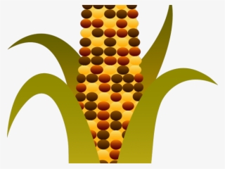 Indian Corn Clipart World Wide Clip Art Website Fall - Indian Corn Clip Art