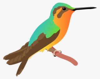Kingfisher Poster - Ruby-throated Hummingbird